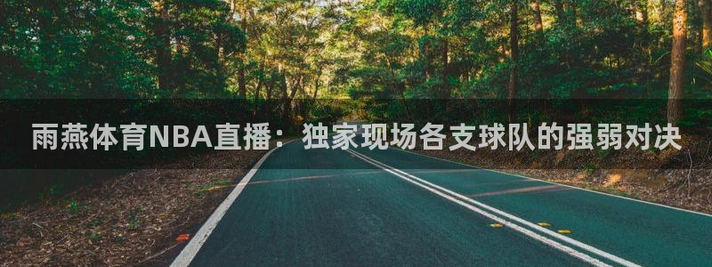 24直播网nba在线直播免费观看：雨燕体育NBA直播：独家现场各支球队的强弱对决