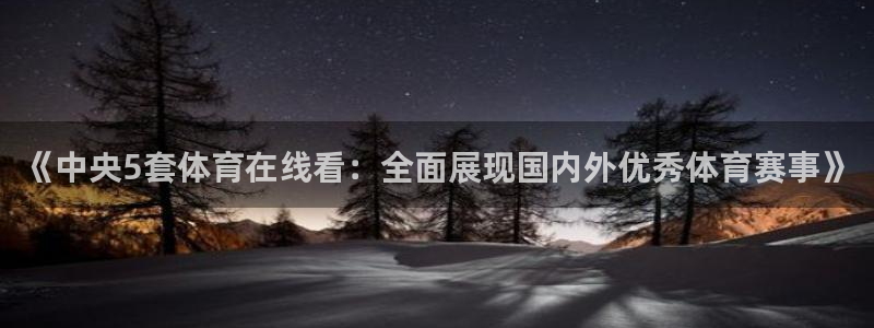 24直播网官网下载：《中央5套体育在线看：全面展现国内外优秀体育赛事》