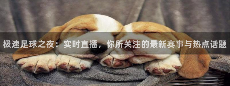 nba直播吧24直播网：极速足球之夜：实时直播，你所关注的最新赛事与热点话题