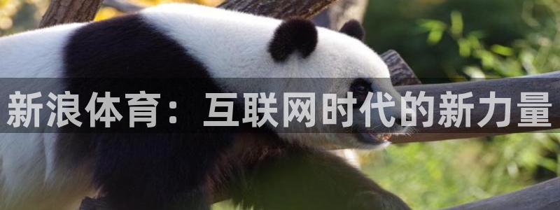 24直播网 nba直播吧：新浪体育：互联网时代的新力量