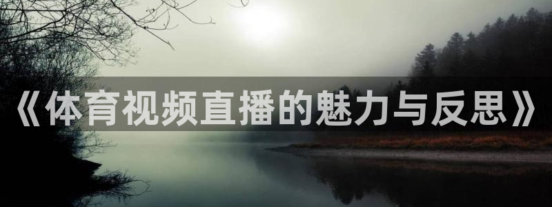 24直播网篮球：《体育视频直播的魅力与反思》