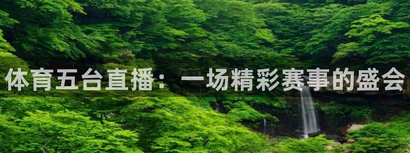 足球直播24直播网：体育五台直播：一场精彩赛事的盛会