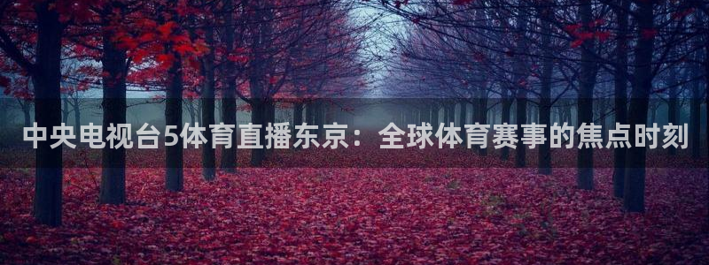 nba直播吧24直播网：中央电视台5体育直播东京：全球体育赛事的焦点时刻