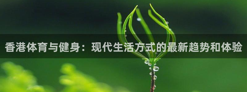 24直播免费足球直播直播：香港体育与健身：现代生活方式的最新趋势和体验