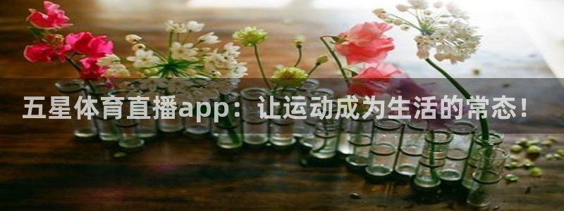 nba在线直播免费观看直播24直播网：五星体育直播app：让运动成为生活的常态！