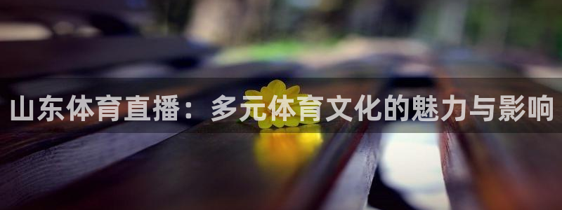24直播网体育新年放送7zg.立即打开.org：山东体育直播：多元体育文化的魅力与影响